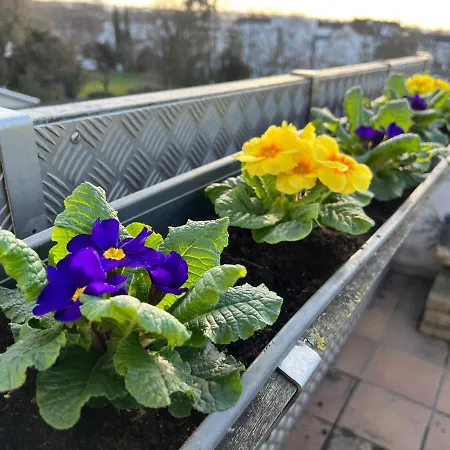 Apartment Der Schwan 7 - 3 Schlafzimmer - 2 Balkone - Zentral - 100 Qm