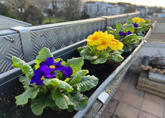 Apartment Der Schwan 7 - 3 Schlafzimmer - 2 Balkone - Zentral - 100 Qm